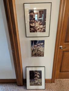 Framed Photography