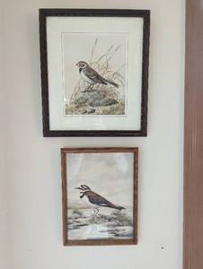 Bird Art