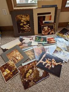 Photography Prints