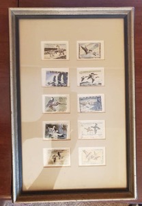 Framed Collection Of Duck Stamps