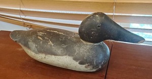 Duck Decoy