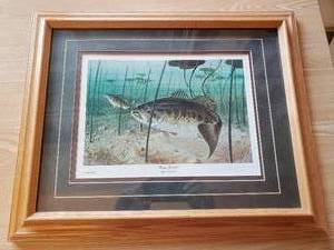 Framed Les Kouba Bass Feedin Print