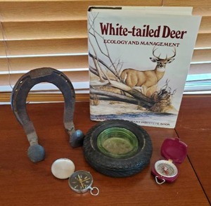 Collection Of Outdoor Items