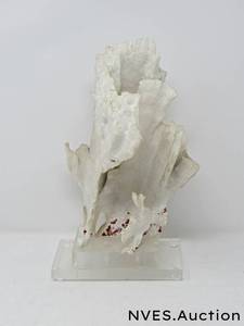 lot 82 image: Coral on lucite