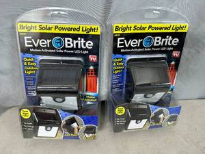 lot 197 image: 2 New Everbrite Motion Activated Solar Powered LED Lights