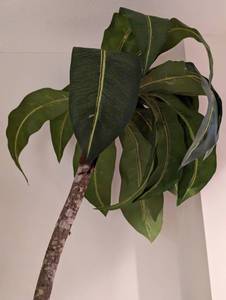 lot 70 image: Large Potted Faux Dracaena Plant