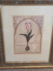lot 159 image: Pair of Framed Decorative Floral Prints
