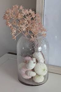 lot 78 image: Framed Starfish and Shell Decor