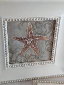lot 84 image: Three Framed Seashell Prints
