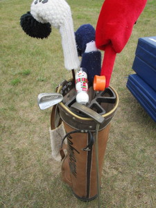 lot 81 image: Golf Clubs wPing, Bag