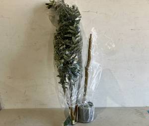 lot 275 image: Haispring 6 ft. Artificial Silk Olive Tree