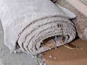 lot 786 image: Lot of (1) Carpet CPR 128 14.5x12