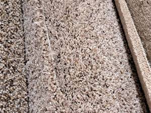 lot 856 image: Lot of (1) Carpet CPR-16 10.25x12