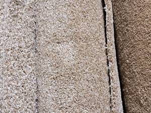 lot 863 image: Lot of (1) Carpet CPR-25 8.6x12