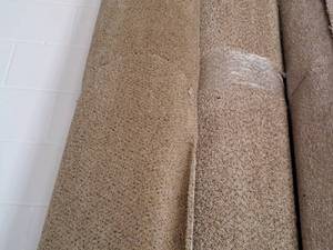 lot 892 image: Lot of (1) Carpet 186x12