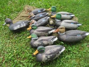lot 7 image: DECOYS