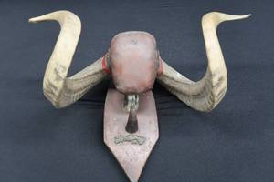 lot 86 image: RAM HORNS BEAUTIFULLY MOUNTED