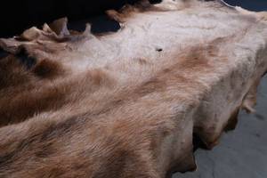 lot 87 image: TANNED ELK HIDE