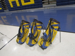 lot 350 image: (3) Ping Golf Bags