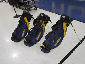 lot 351 image: (3) Titleist Golf Bags