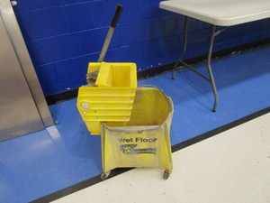 lot 49 image: Mop Bucket