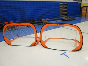 lot 114 image: (2) 4x6 Goals