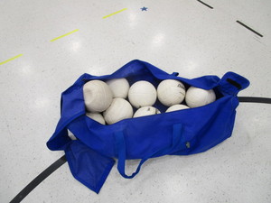 lot 206 image: Bag of 12 Volleyballs