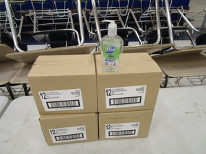 lot 176 image: (48) Bottles Hand Sanitizer
