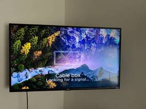 lot 53 image: 43 Roku TV with Remote