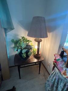 lot 162 image: End Table, Lamp & Plant