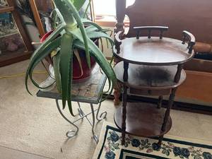lot 172 image: Oval Floor Shelf, Plant Stand & Plant