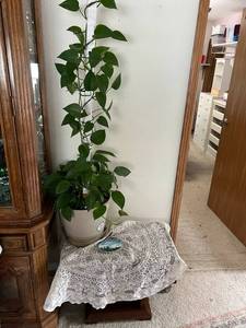 lot 199 image: End Table & Plant