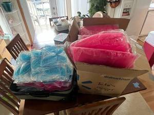 lot 203 image: Box Full of New Tutus & Suitcase Full of Butterflies 
