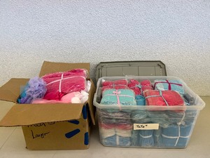 lot 288 image: Tote & Box of Tutus