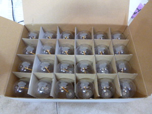 lot 66 image: Case of Decorative Replacement LED Light Bulbs