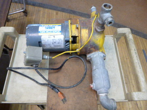 lot 80 image: General Electric Shallow Well Pump