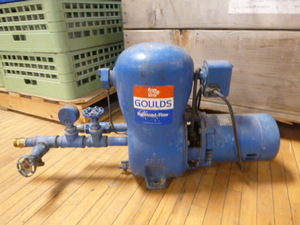 lot 81 image: Goulds Balanced Flow Shallow Well Motor