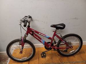 lot 101 image: SHIMANO MT. SPORT ROADMASTER BIKE