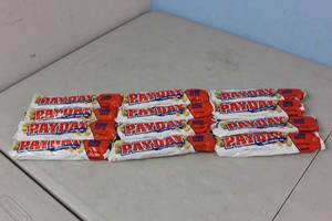 12 Payday Bars Best By 112023