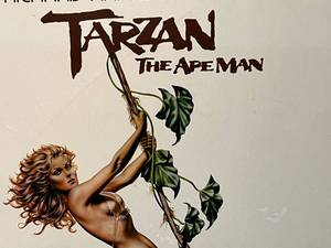 lot 28 image: 1981 Tarzan Movie Poster