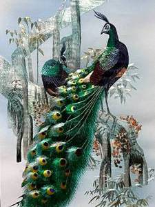 lot 94 image: Vibrant Colored Peacock Sewn Design on Fabric