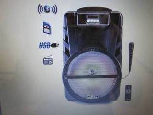 beFree Sound 12 Bluetooth Portable...