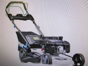 Pulsar 21 200cc Self-Propelled Law...