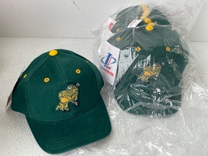 NDSU Bison Kids Hats Lot of 10