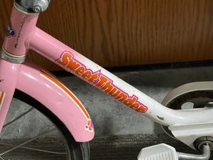 Huffy Sweet Thunder Banana Seat First Bike