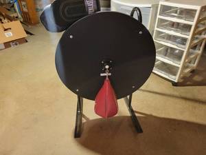 lot 541 image: Everlast Punching Bag and Gloves