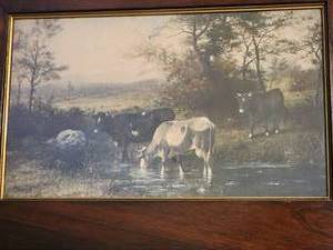 lot 115 image: Vintage Cattle Peaceful Print