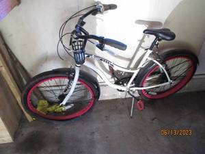 lot 022 image: Mountain Bike ready for summer adventures