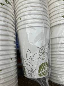Dixie Paper Hot Cups