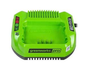 lot 76 image: Greenworks PRO 60-Volt Standard Charger 60v CAC801